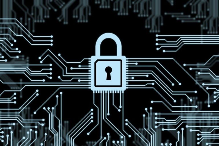 Dag van de Privacy